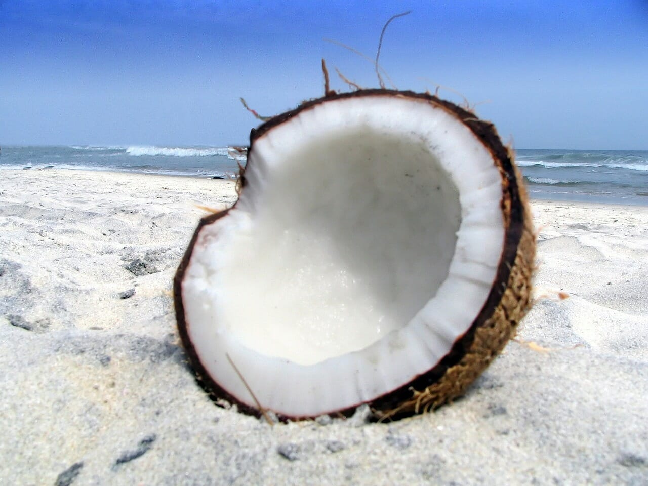 coconut oil